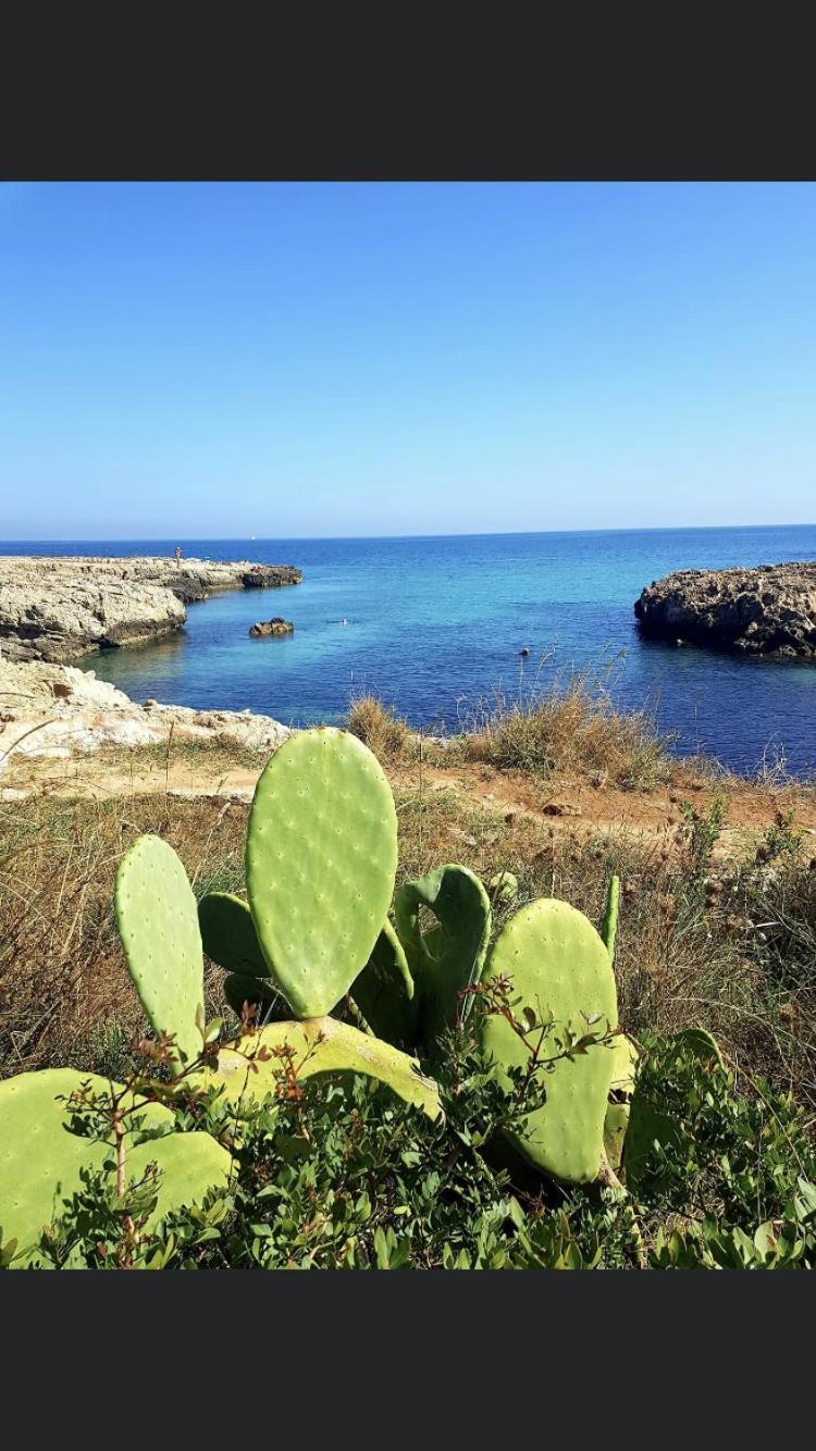 Ristella Home Monopoli Eksteriør bilde